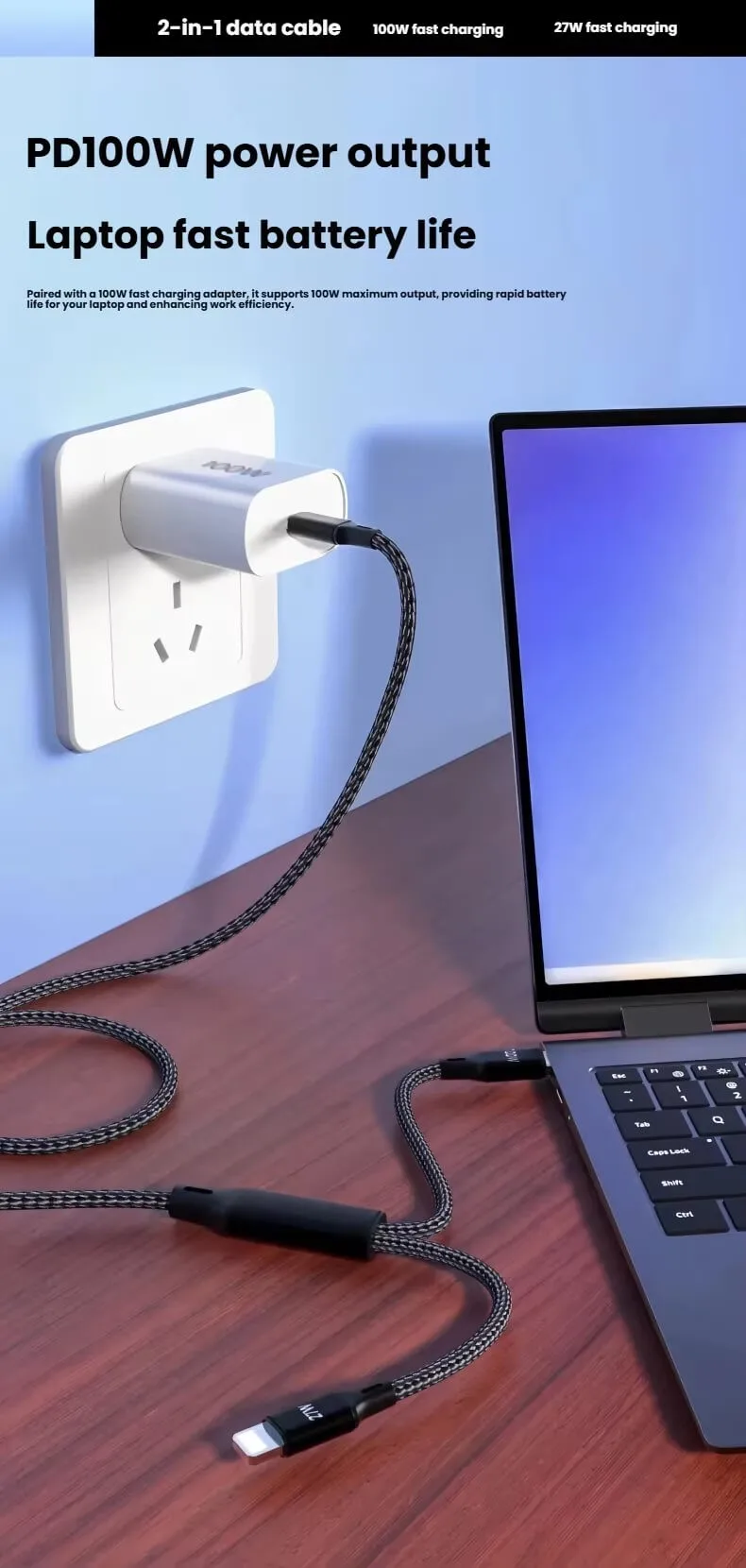 2 in 1 100W Cable