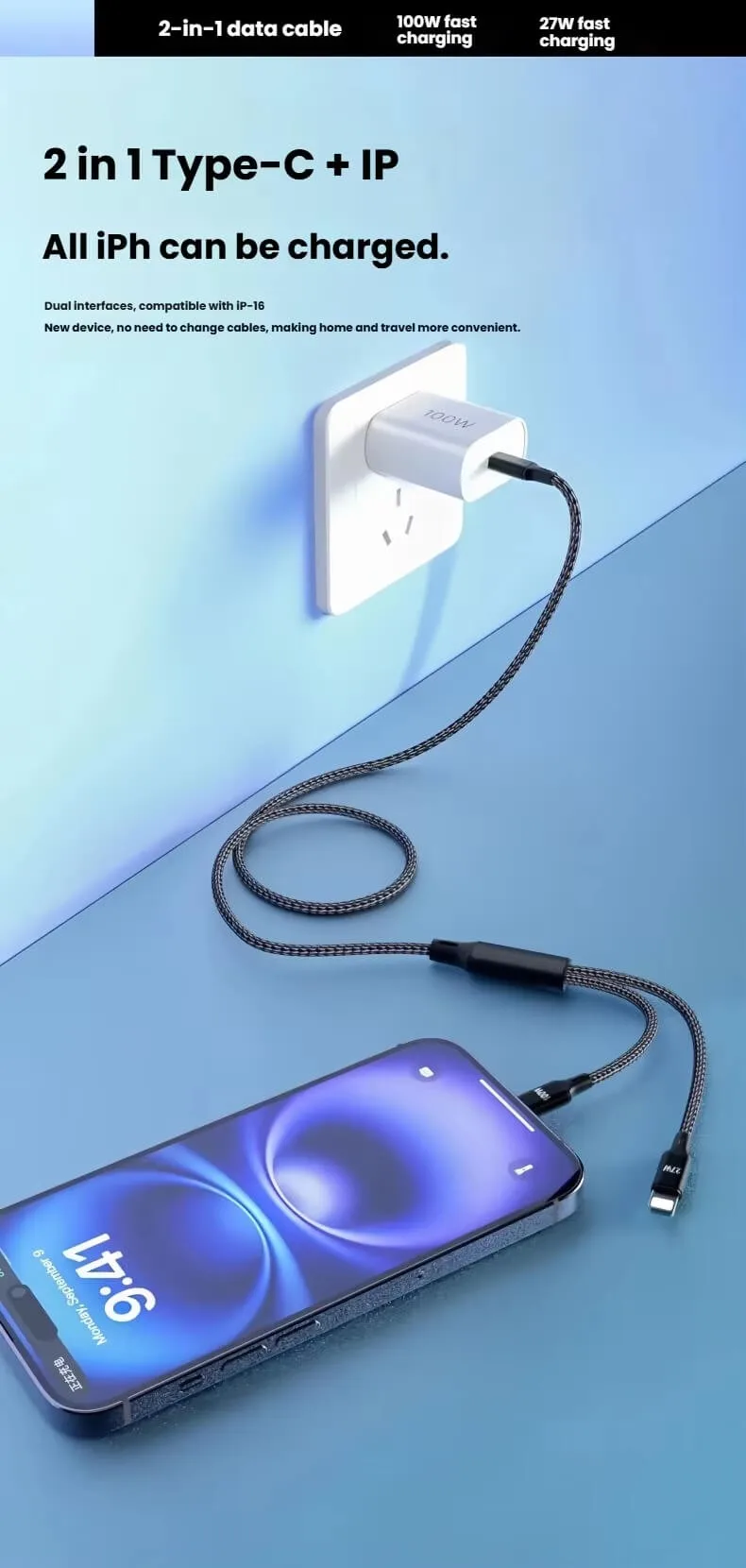 2 in 1 100W Cable