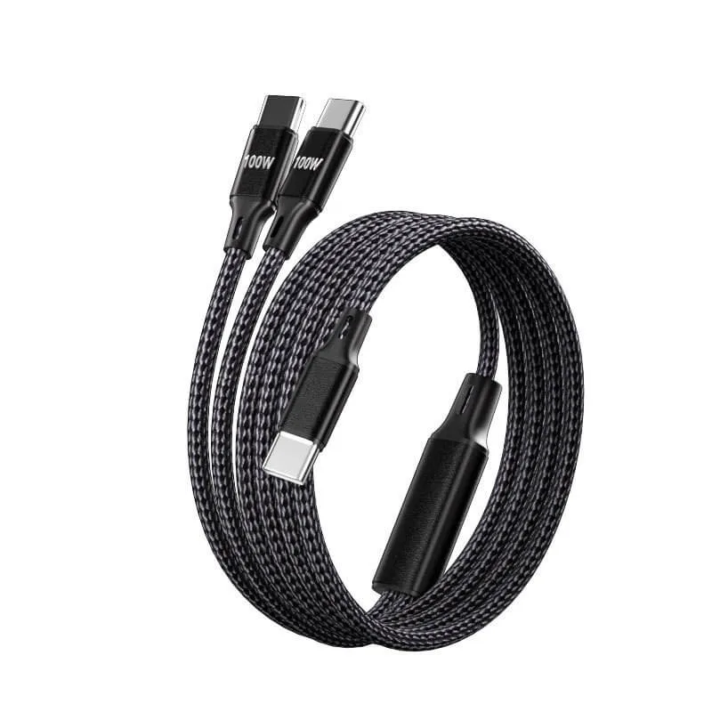 2 in 1 100W Cable